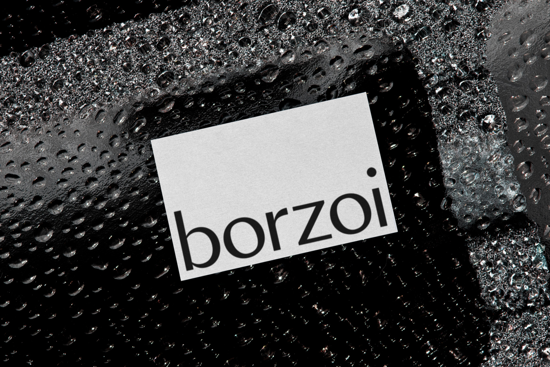 borzoi_5-1920×1280-1